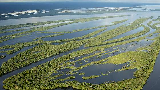 Amazonas, Brasilien: Anavilhanas